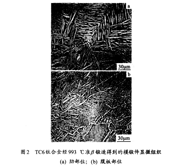 TC6鈦合金經(jīng)993℃準β鍛造得到的模鍛件顯微組織(a) 肋部位；(b) 腹板部位