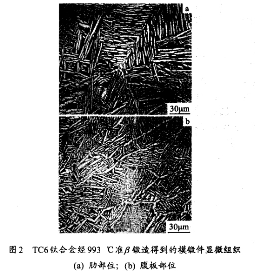 TC6鈦合金經(jīng)993 ℃準(zhǔn)鍛造得到的模鍛件顯微組織(a) 肋部位；(b) 腹板部位