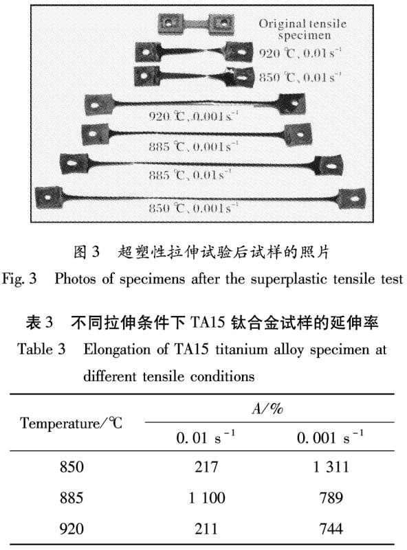 t3-b3.jpg