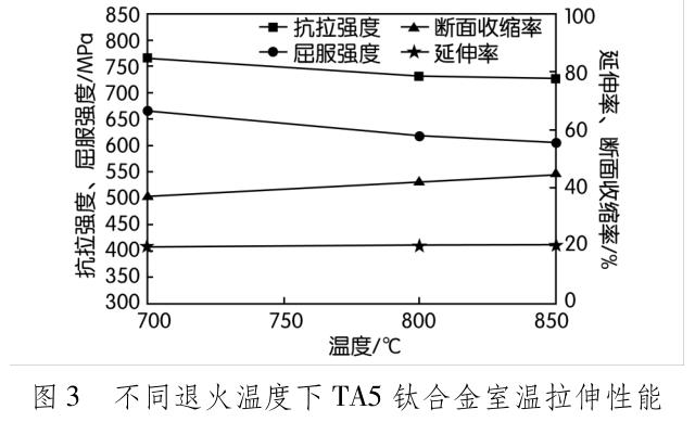 t3.jpg