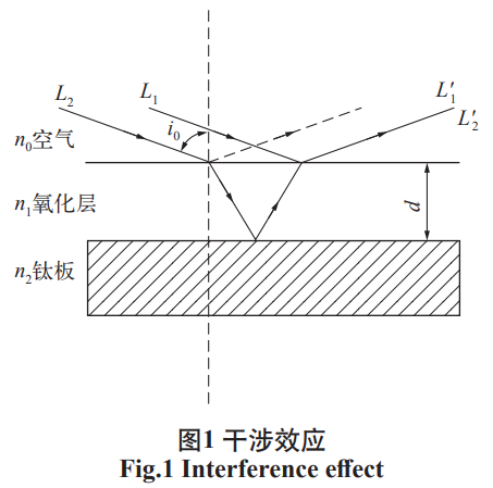 截圖20250105170840.png